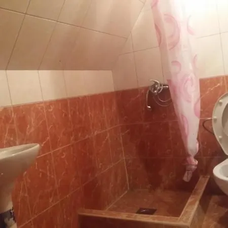 Dulovic Motel *